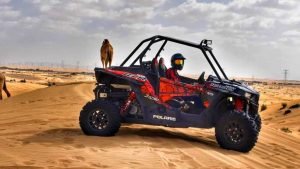 dune-buggy-tours